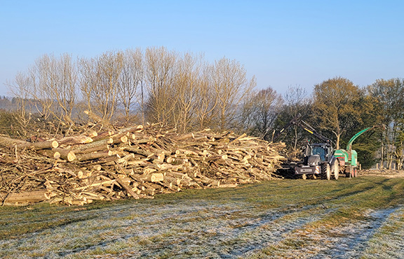 Background Image - Forestry Equipment Remapping & Tuning