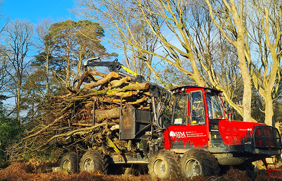 Stripe Image - Forestry Equipment Remapping & Tuning